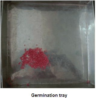 Physical Purity and Seed Germination Test | Agriculture Optional for UPSC
