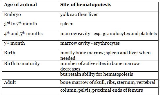Hematopoiesis: Hematology | Medical Science Optional Notes for UPSC