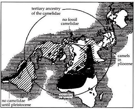 Continental Drift and Distribution of Animals | Zoology Optional Notes for UPSC