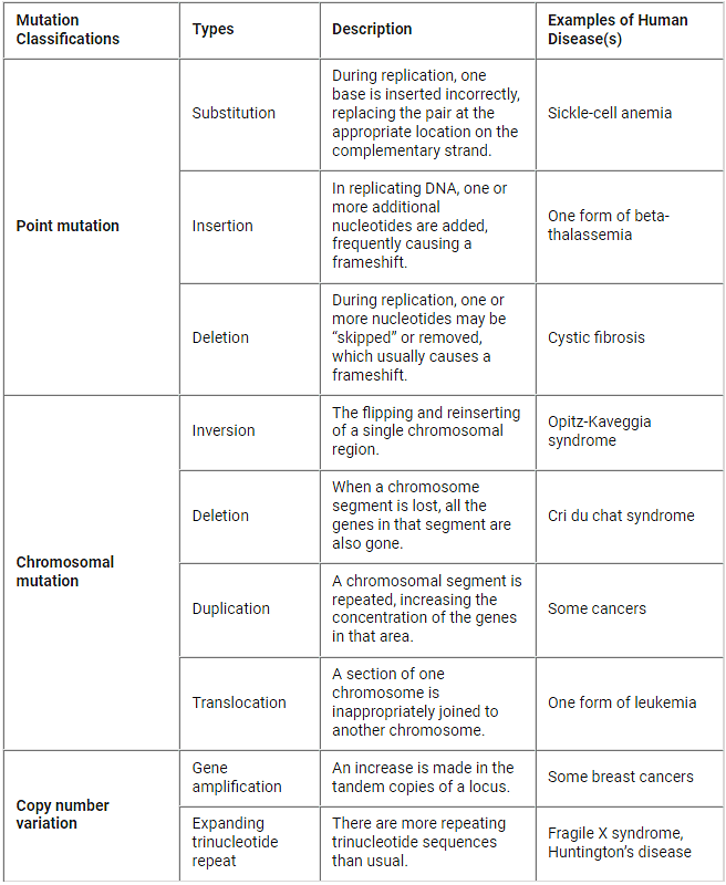 Biological Mutation | Anthropology Optional for UPSC