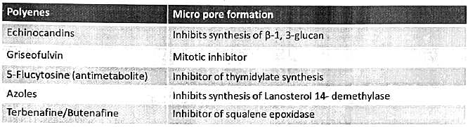 Anti-Fungal Drugs | Medical Science Optional Notes for UPSC