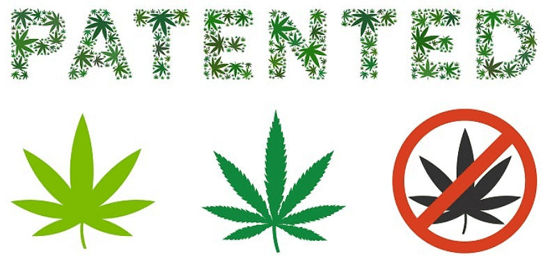 Rights and Intellectual Property Rights | Botany Optional for UPSC