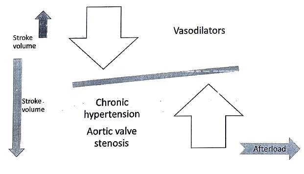 Cardiovascular System | Medical Science Optional Notes for UPSC