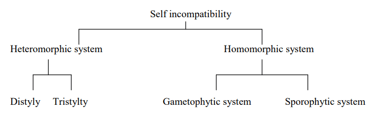 Incompatibility and Male Sterility and their Utilization in Crop Improvement - 1 | Agriculture Optional for UPSC
