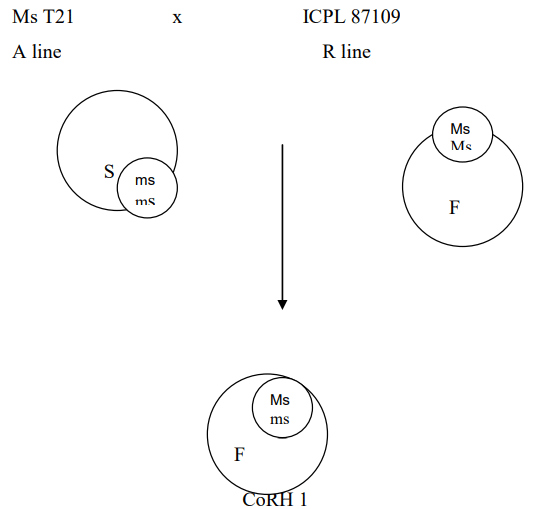 Incompatibility and Male Sterility and their Utilization in Crop Improvement - 2 | Agriculture Optional for UPSC