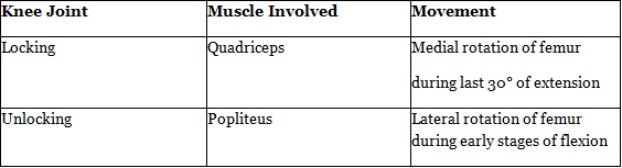 Knee Joint | Medical Science Optional Notes for UPSC