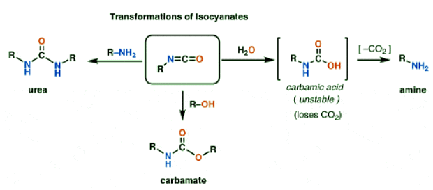 The Hofmann and Curtius Rearrangements - Chemistry Optional Notes for ...