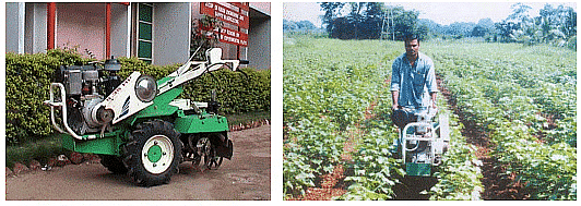Methods of Weed Control | Agriculture Optional for UPSC