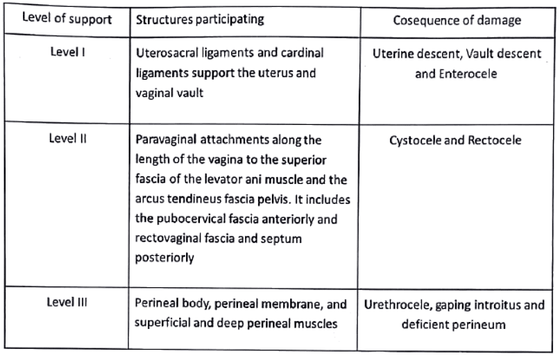 Prolapse of uterus | Medical Science Optional Notes for UPSC