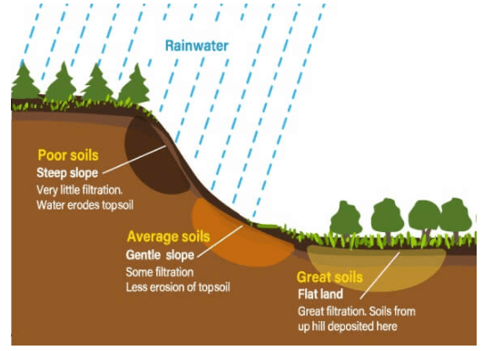 Genesis of Soils | Geography Optional for UPSC