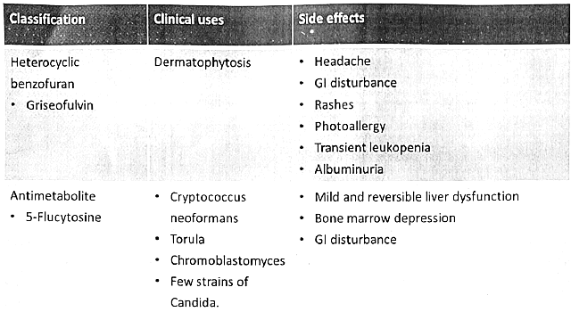 Anti-Fungal Drugs | Medical Science Optional Notes for UPSC