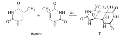 Photochemical reactions of simple organic compounds | Chemistry Optional Notes for UPSC