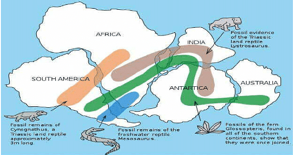 Continental Drift and Distribution of Animals | Zoology Optional Notes for UPSC
