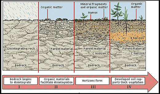 Weathering and Soil Formations | Geology Optional for UPSC