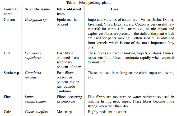 Plants as Sources for Food | Botany Optional for UPSC