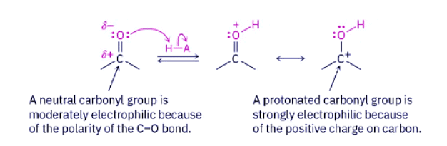 Nucleophilic Addition of Alcohols- Acetal Formation | Chemistry Optional Notes for UPSC