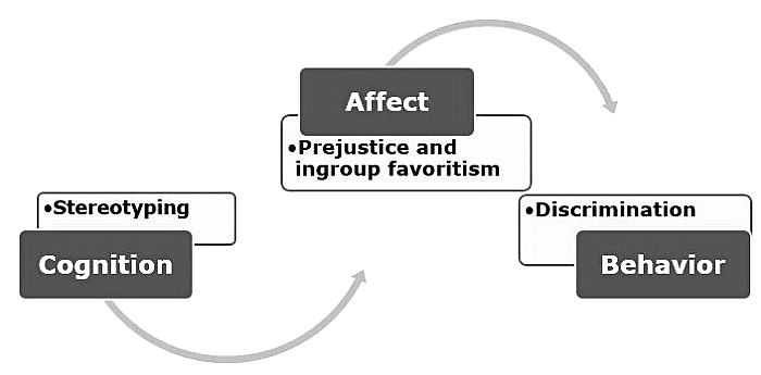 Formation of stereotypes and prejudices | Psychology for UPSC Optional (Notes)