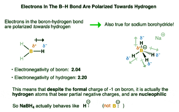 Sodium Borohydride (NaBH4 ) | Chemistry Optional Notes for UPSC