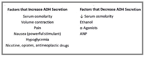 Posterior pituitary gland | Medical Science Optional Notes for UPSC