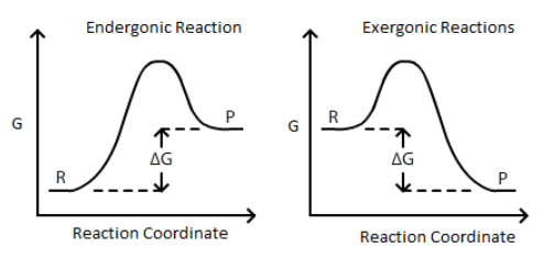 Connection between Cell Potential, ∆G, and K | Chemistry Optional Notes for UPSC