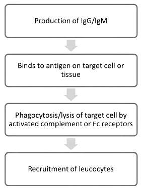 Hypersensitivity Reactions | Medical Science Optional Notes for UPSC