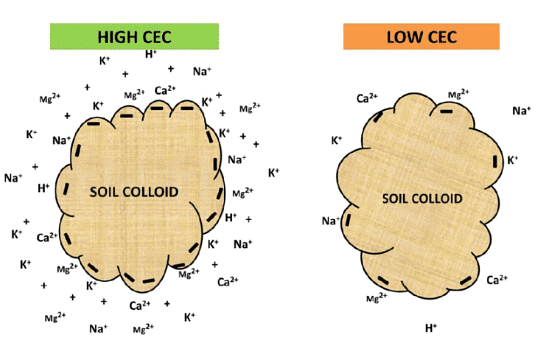 Properties of Soil: Physical, Chemical & Biological - 2 | Agriculture Optional for UPSC