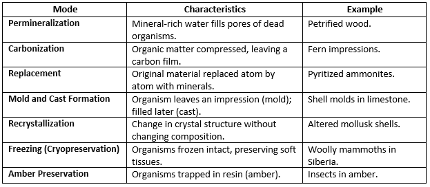 UPSC Mains Answer PYQ 2024: Geology Paper 1 (Section- B) | Geology Optional for UPSC