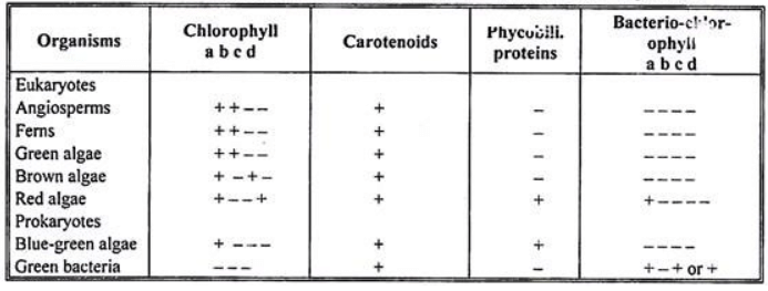 Pigments as photoreceptors | Botany Optional for UPSC