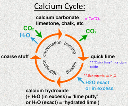Biosphere: Biogeochemical Cycles | Zoology Optional Notes for UPSC