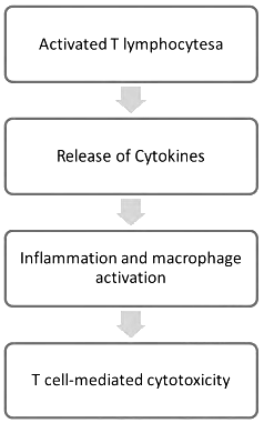 Hypersensitivity Reactions | Medical Science Optional Notes for UPSC