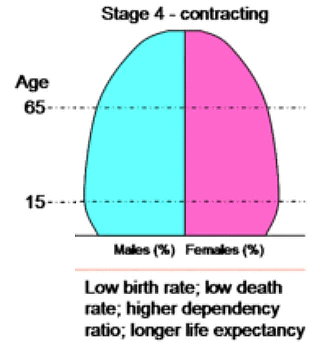 Demographic Attributes | Geography Optional for UPSC (Notes)