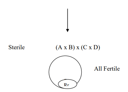 Incompatibility and Male Sterility and their Utilization in Crop Improvement - 2 | Agriculture Optional for UPSC