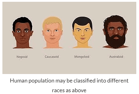 Dimensions - Social Stratification of Ethnicity and Race | Sociology Optional for UPSC (Notes)