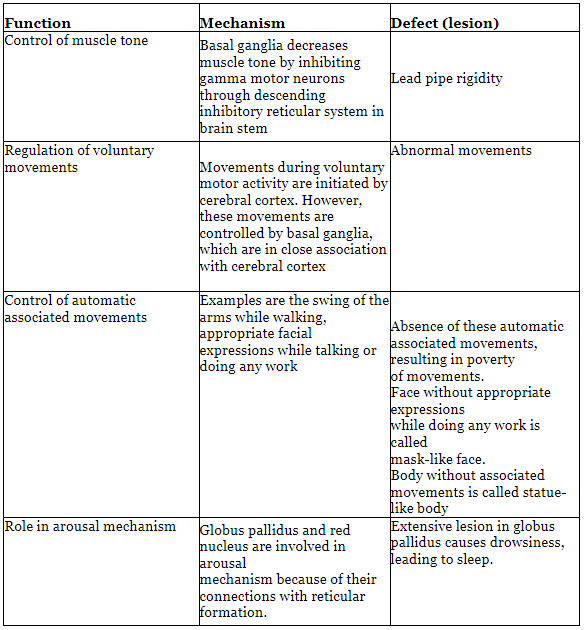 Basal Ganglia | Medical Science Optional Notes for UPSC