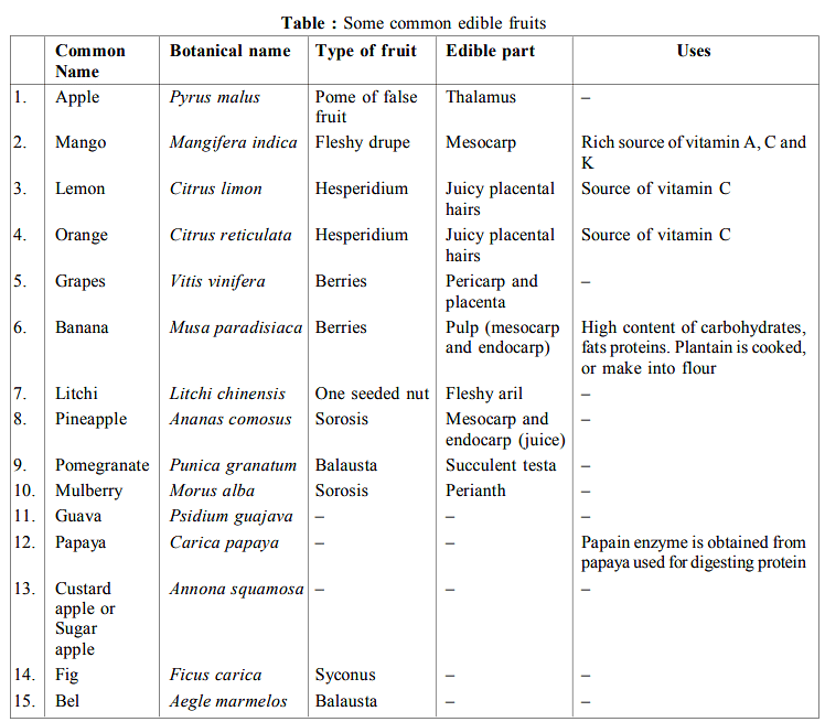 Plants as Sources for Food | Botany Optional for UPSC