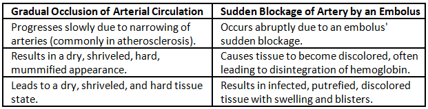 Peripheral Arterial Disorders | Medical Science Optional Notes for UPSC