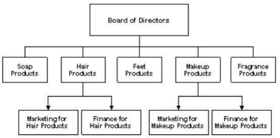 Strategy and Structure | Management Optional Notes for UPSC