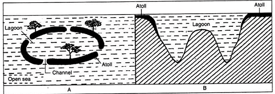 Coral reefs and their formation | Zoology Optional Notes for UPSC