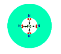 Introduction to Coordination Chemistry & Types of Ligands | Chemistry Optional Notes for UPSC