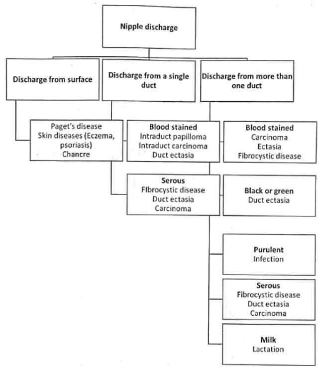 Breast | Medical Science Optional Notes for UPSC