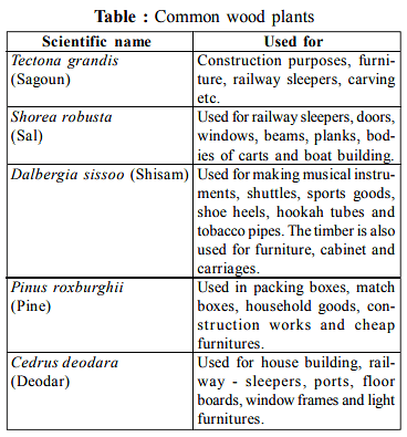 Plants as Sources for Food | Botany Optional for UPSC