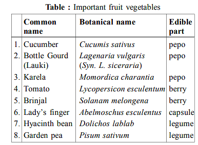 Plants as Sources for Food | Botany Optional for UPSC