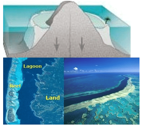 Coral Reefs & Coral Bleaching | Geography Optional for UPSC