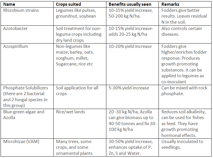 Bio-fertilizers - 1 | Agriculture Optional for UPSC