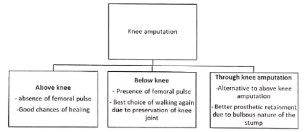 Peripheral Arterial Disorders | Medical Science Optional Notes for UPSC