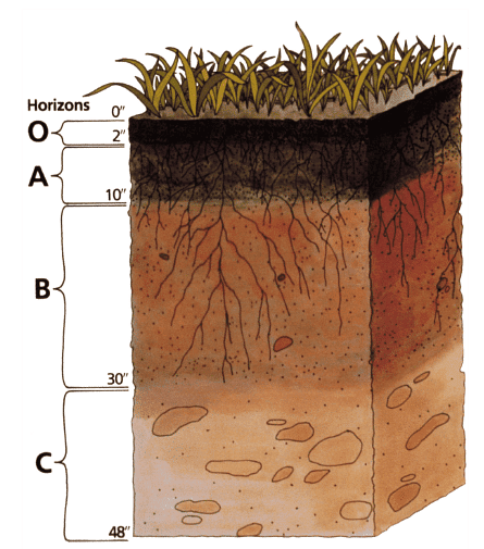 Properties of Soil: Physical, Chemical & Biological - 1 | Agriculture Optional for UPSC