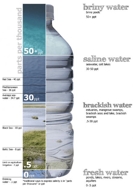 Temperature & Salinity of the Oceans | Geography Optional for UPSC