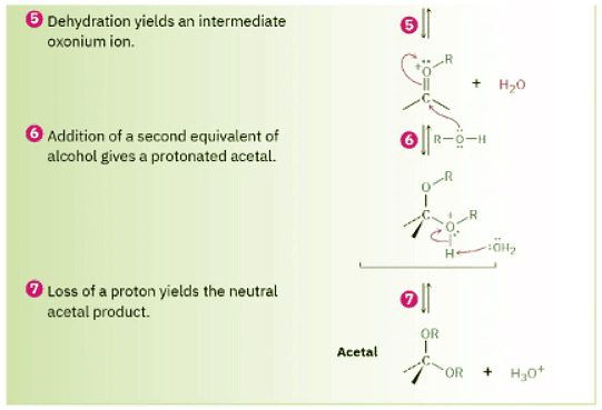 Nucleophilic Addition of Alcohols- Acetal Formation | Chemistry Optional Notes for UPSC