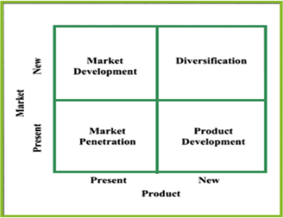 Growth Strategies | Management Optional Notes for UPSC