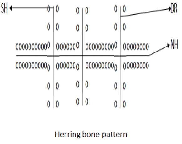 Types, Patterns and Morphology of Rural Settlements | Geography Optional for UPSC